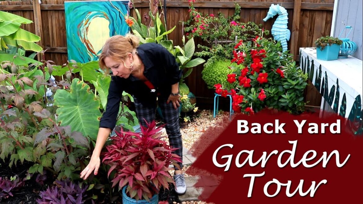September Garden Tour of My Carolina Garden | Back Yard Southern Garden