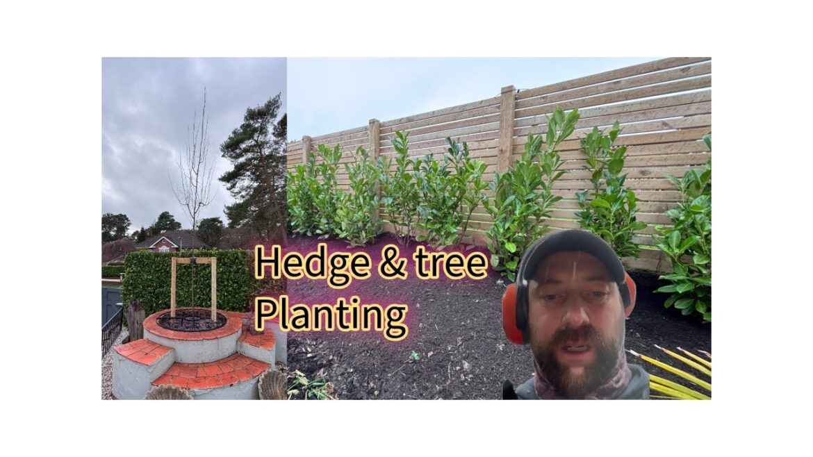 Getting my last few jobs done before the Xmas break Getting my last few jobs done before the Xmas break