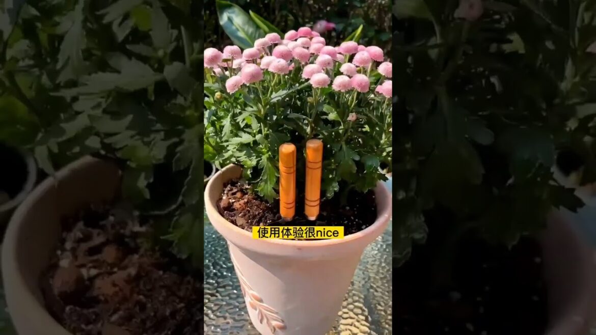 🤩 Smart Appliances, 38Gadgets For Every Home/ Versatile Utensils (Inventions & Ideas) #shorts 🤩 Smart Appliances, 38Gadgets For Every Home/ Versatile Utensils (Inventions & Ideas) #shorts