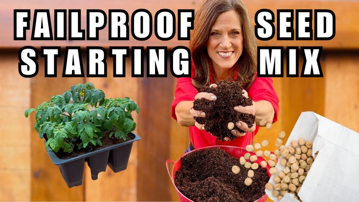 CaliKim: FAILPROOF DIY Seed Starting Mix: SAVE Money, Grow BETTER Vegetables FAILPROOF DIY Seed Starting Mix: SAVE Money, Grow BETTER Vegetables
