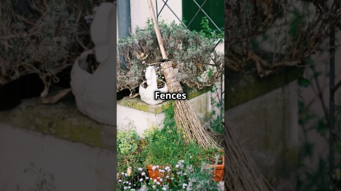 Garden Design Basics: Tips & Tricks!