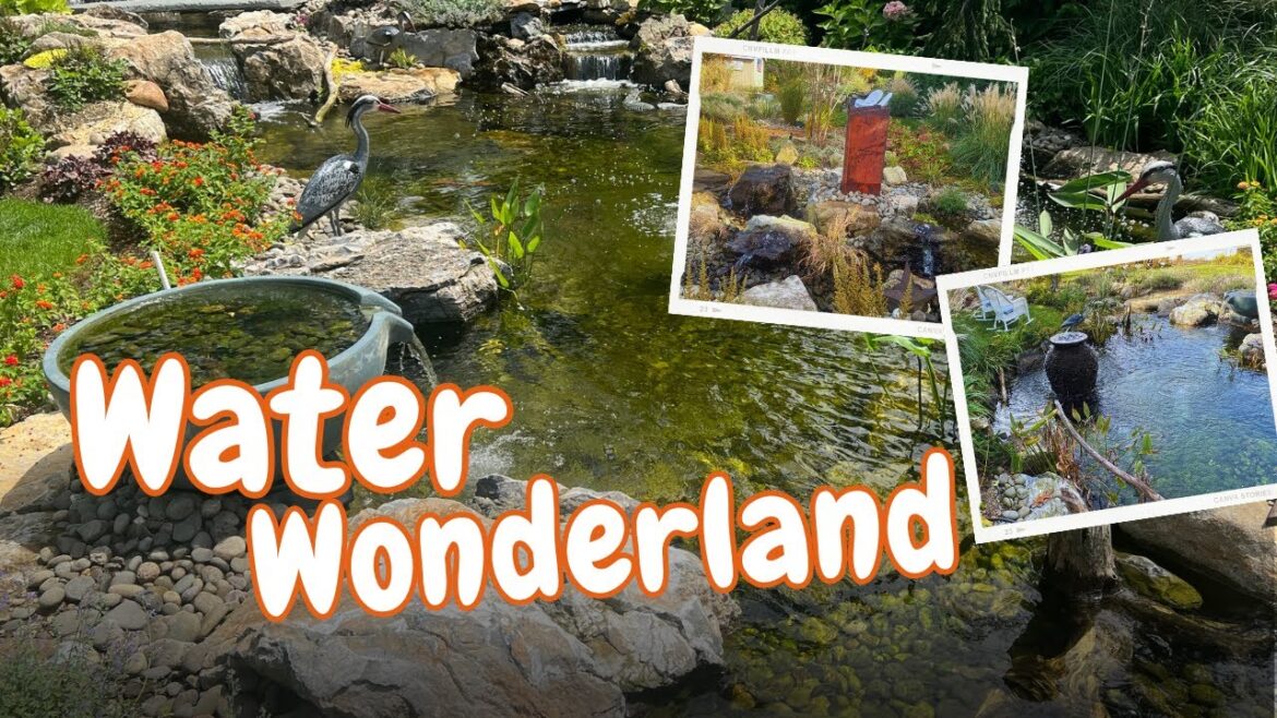 We Turned this BackYard into a Water Wonderland!