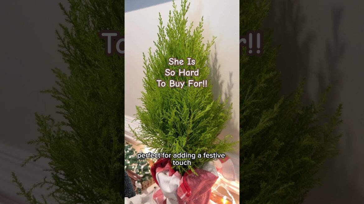 Give The Gift Of Green! @greatgardenplants #christmasdecorations #christmas2024 #shortsvideo