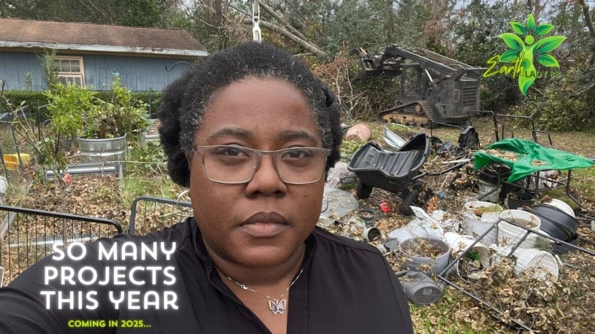 Plans to rebuild garden and home renovations