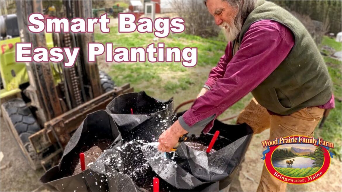 Easy Way To Plant Organic Potatoes in Containers Easy Way To Plant Organic Potatoes in Containers