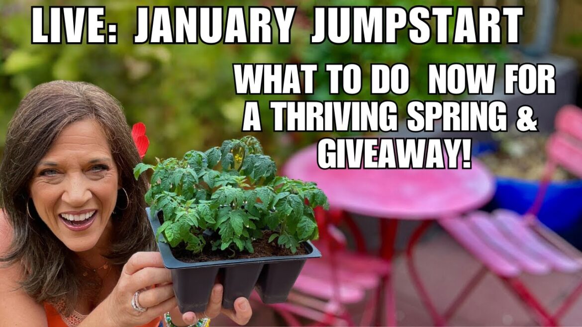 CaliKim: LIVE: January Garden Jumpstart: What to Do Now for a Thriving Spring + Seed Giveaway! LIVE: January Garden Jumpstart: What to Do Now for a Thriving Spring + Seed Giveaway!