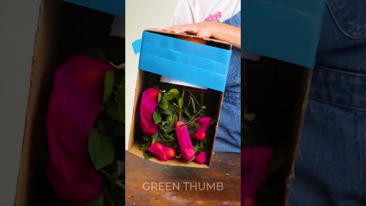 Easy Gardening Tips: Grow Your Green Thumb!