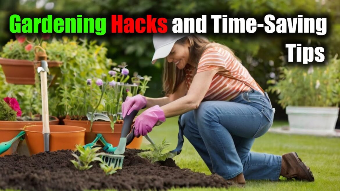 Gardening Hacks and Time-Saving Tips: Gardening Made Easy