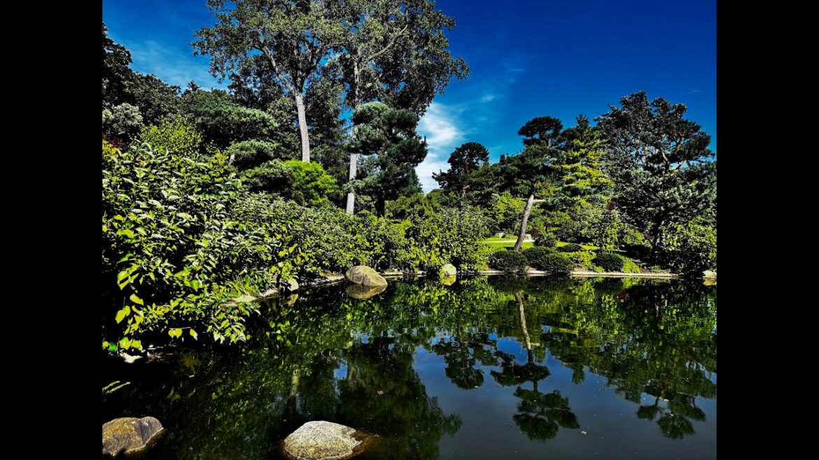 One of the Best Japanese Gardens – A Cinematic Walking Tour One of the Best Japanese Gardens - A Cinematic Walking Tour