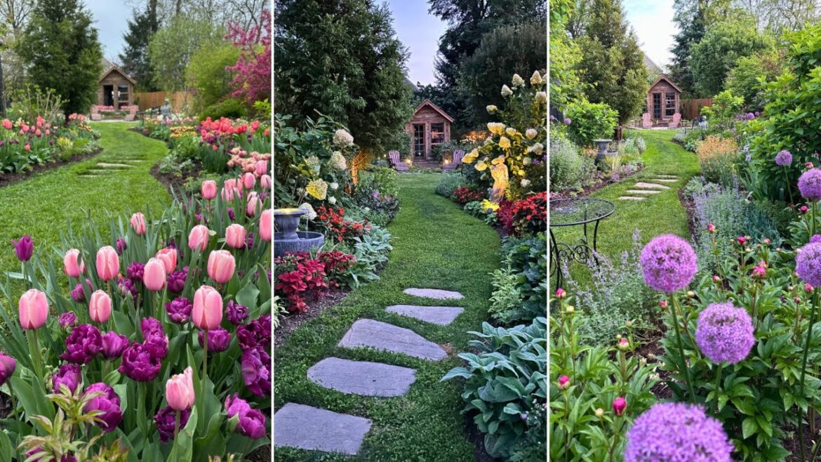 Year-long Garden Tour! Watch my Cottage Garden Grow all Year 🌸 Cut Flower Garden Successions