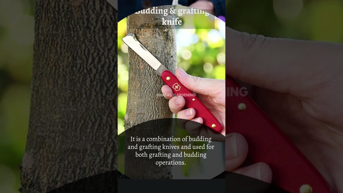 Having the right tools made gardening easy and simple. #natas_gardening #lovegardening #gardening