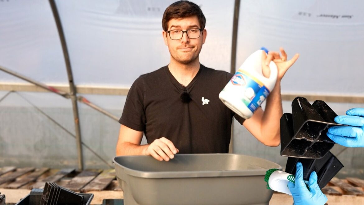 MIgardener: I Had to Wash My Trays in BLEACH! – (This Is Why) I Had to Wash My Trays in BLEACH! - (This Is Why)