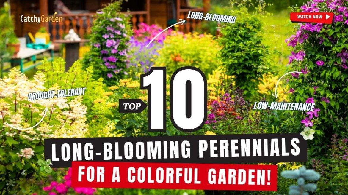 TOP 10 LONG BLOOMING PERENNIALS FOR A COLORFUL GARDEN! 🌼🌿🌷 // Gardening Ideas
