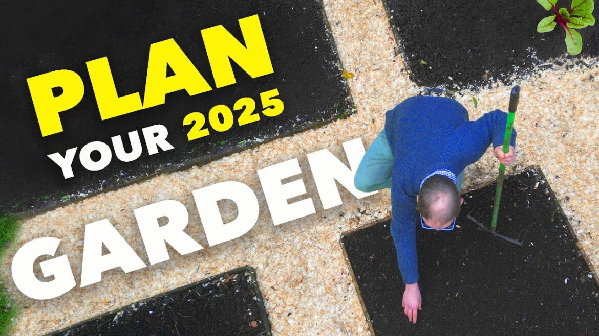 Plan Your 2025 Garden in 5 Easy Steps Plan Your 2025 Garden in 5 Easy Steps