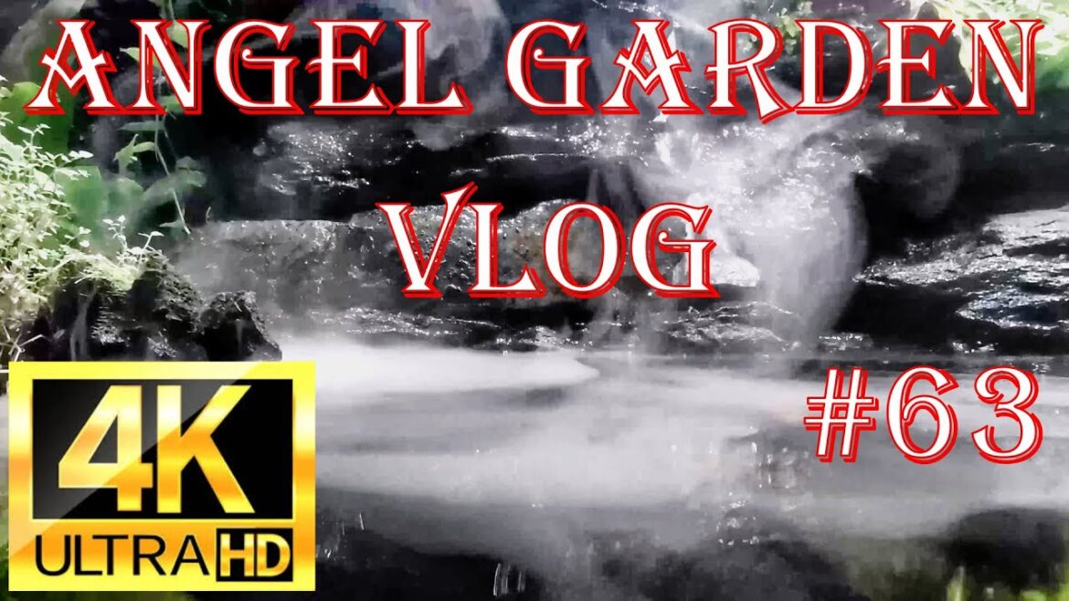 #63 ANGEL GARDEN VLOG - STOP Feeling Stressed in the Palm House Try Angel Garden Now!