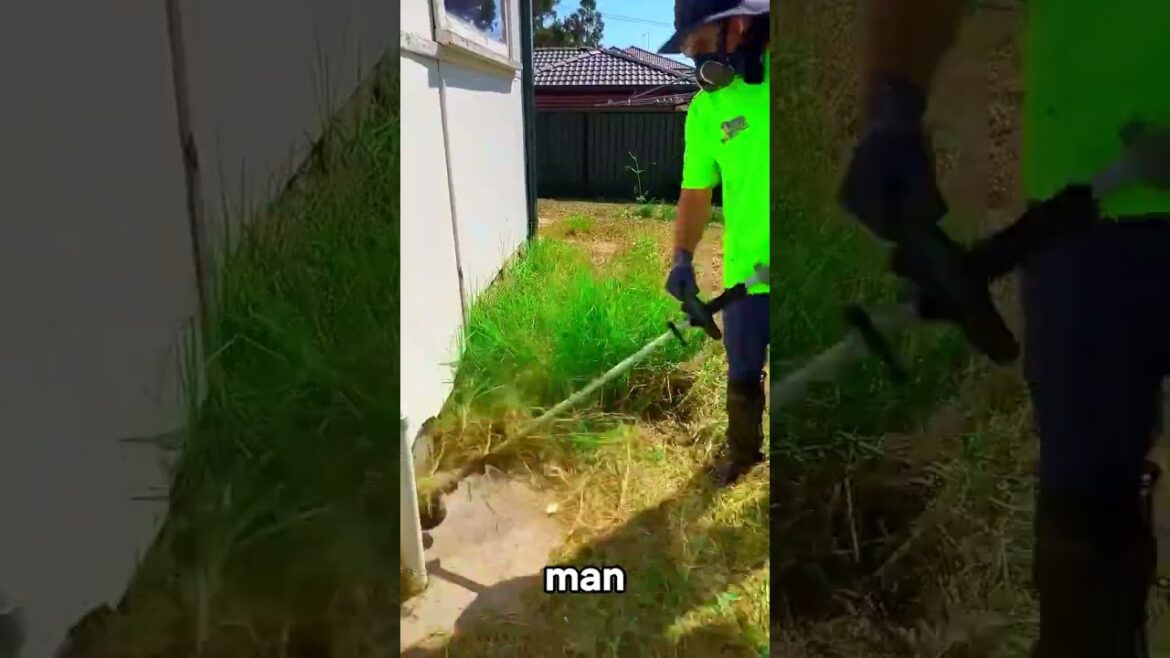 The Most Relaxing & Satisfying Gardening Work You'll Ever Watch 🌳 #177