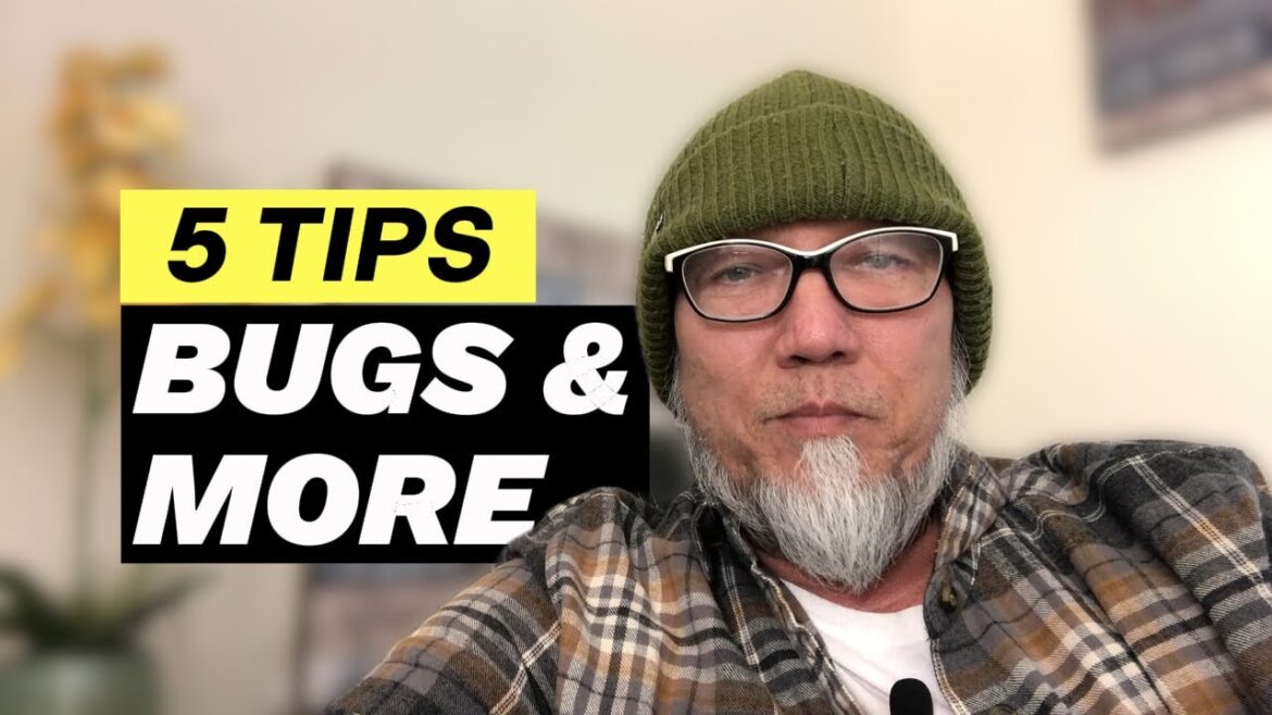 Senior Gardener 5 TIPS for Indoor garden