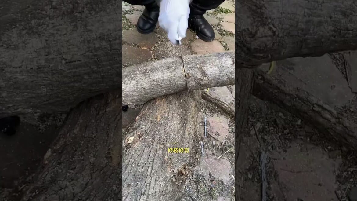 garden tools Japanese Great White Shark Cutting Saw garden tools Japanese Great White Shark Cutting Saw