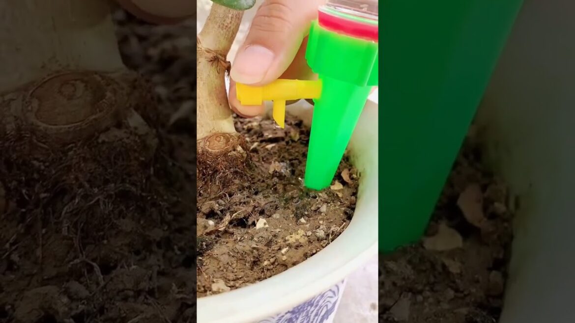 Drip Irrigation kit for Home Garden, Self-Watering Spikes for Plants, Automatic Plant Water Drip Irrigation kit for Home Garden, Self-Watering Spikes for Plants, Automatic Plant Water