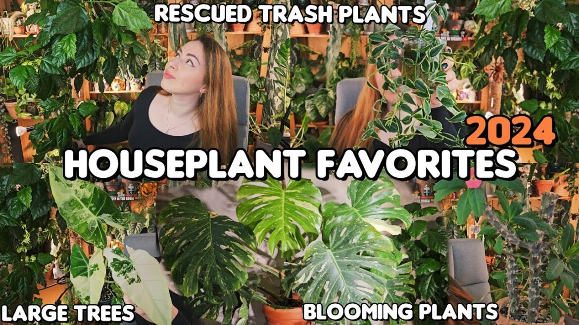 ✨🌿🔥Top 10 Favorite Plants of 2024🔥🌿✨