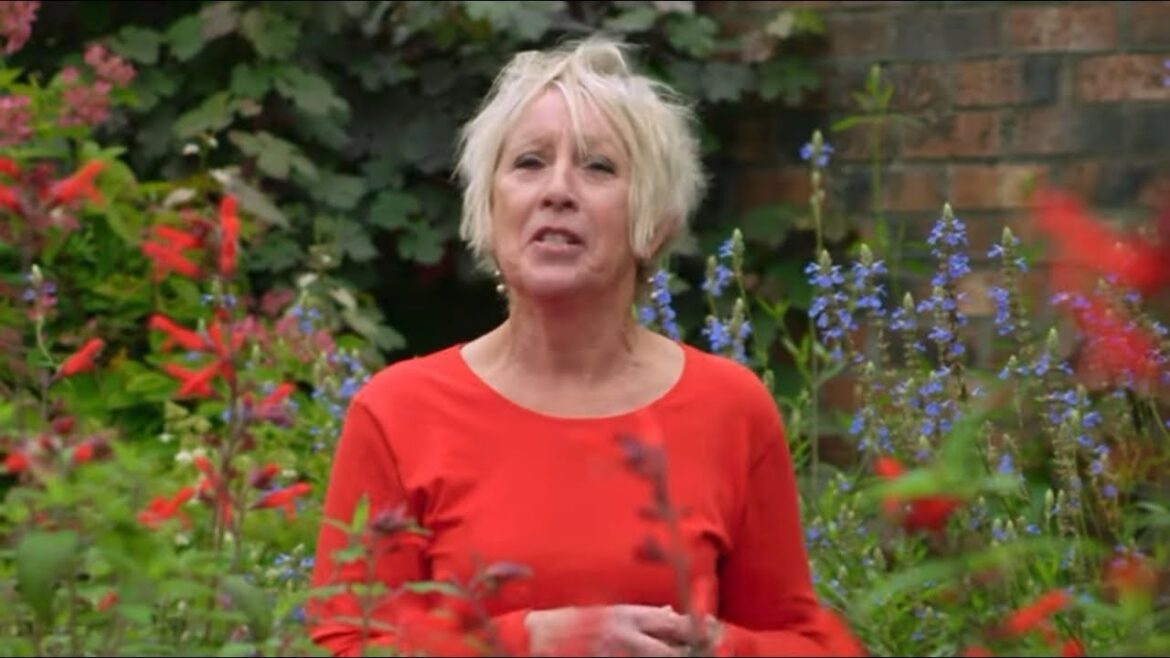 Gardeners World Rerun Eps 49