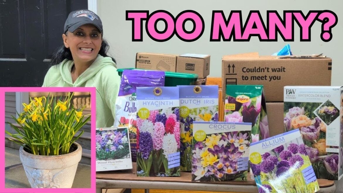 Spring Bulbs In Pots | Daffodils Tulips Container Gardening Tips || Budget Gardening Spring Bulbs In Pots | Daffodils Tulips Container Gardening Tips || Budget Gardening