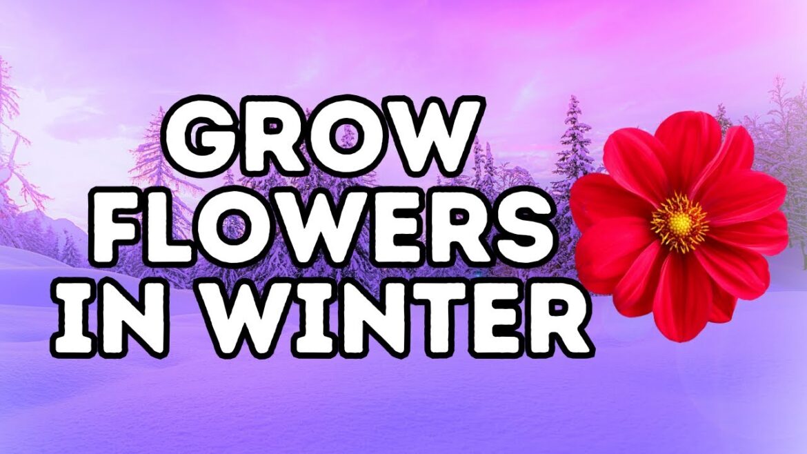 These Plants BLOOM in Winter! These Plants BLOOM in Winter!