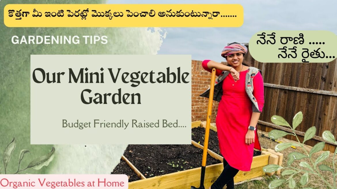 Preparing Vegetable garden bed for beginners | Healthy farming within our home | Telugu Vlogs USA Preparing Vegetable garden bed for beginners | Healthy farming within our home | Telugu Vlogs USA