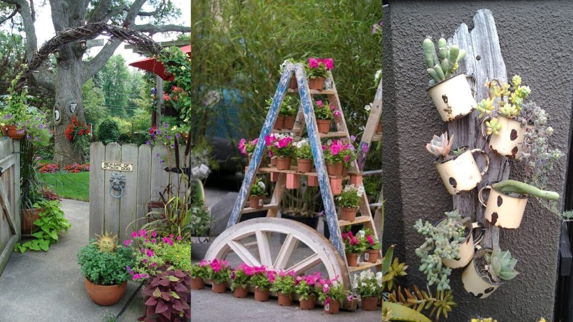 garden design,small garden,garden ideas,garden,small garden design,garden design ideas,small garden garden design,small garden,garden ideas,garden,small garden design,garden design ideas,small garden