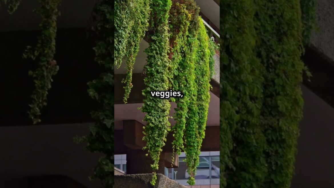 Apartment Container Gardening - 7 Proven Tips for Your Dream Urban Oasis