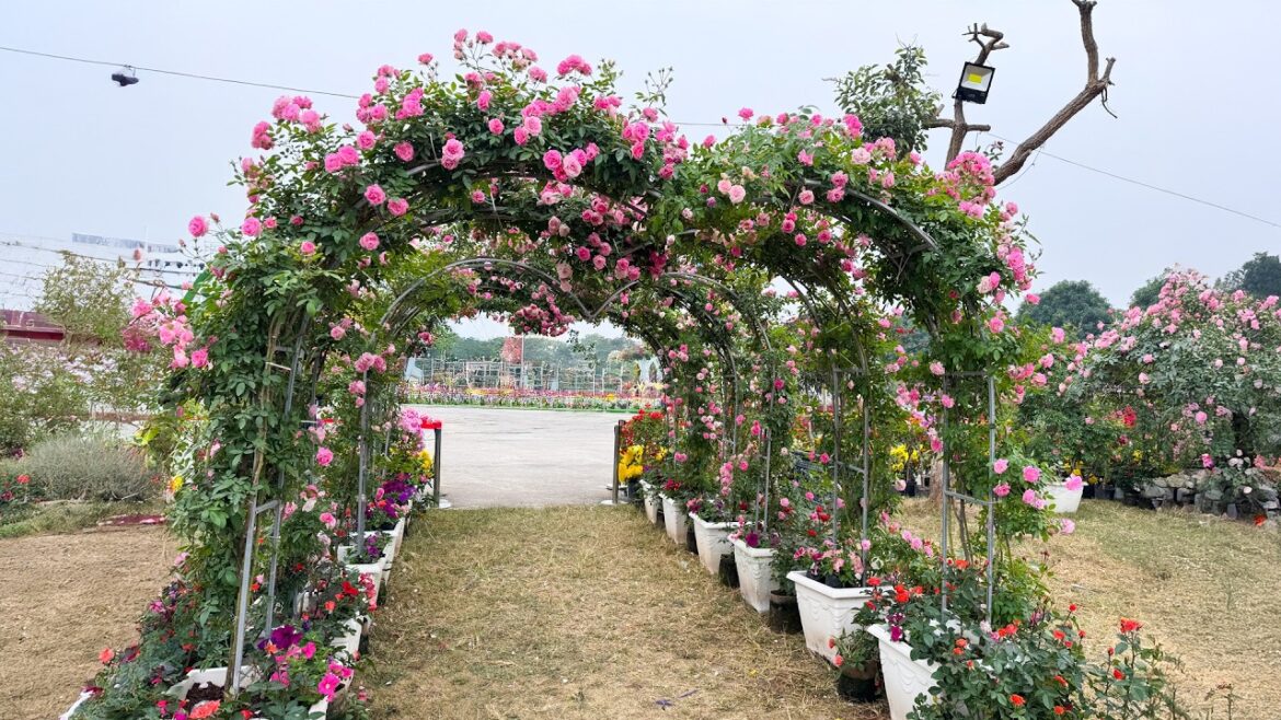 Marvel at the Colorful Landscape: A Real Paradise! Marvel at the Colorful Landscape: A Real Paradise!