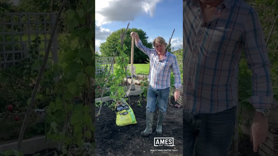 David Domoney: AMES Garden Tips - Clean your wellies with a garden spade