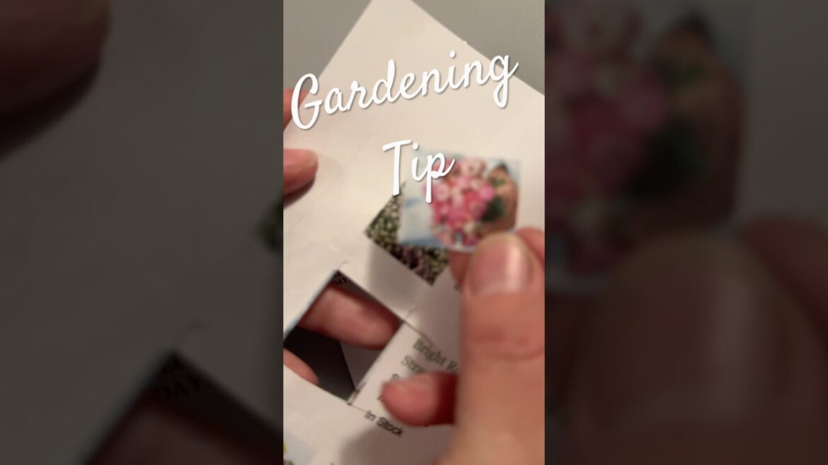 Winter Gardening Tip Short  🎶🌱 #seedstarting  #gardentips #gardeningtips #shorts