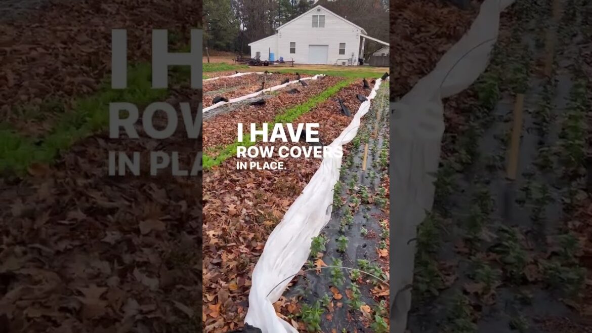 20% off!! Hoops, bags, biodegradable film, covers, and more! Comment SHOP and I’ll DM the link 20% off!! Hoops, bags, biodegradable film, covers, and more! Comment SHOP and I’ll DM the link