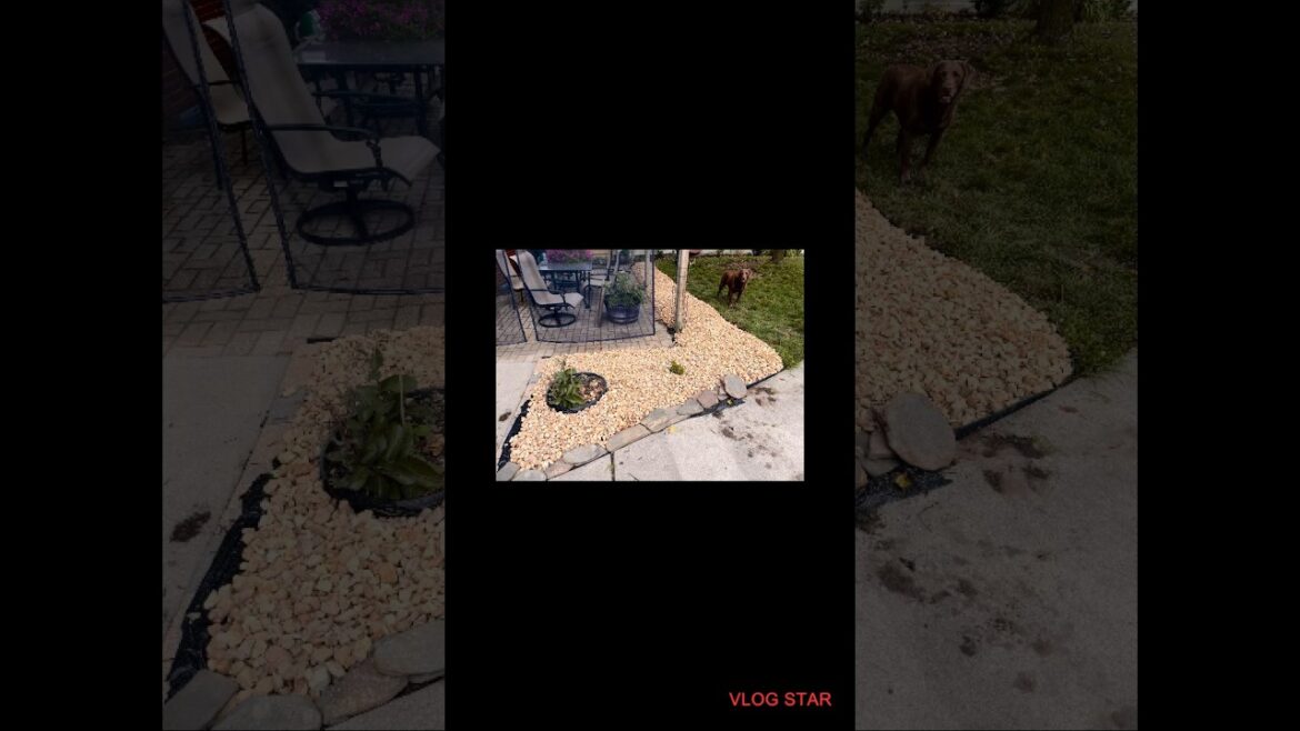 Some backyard landscaping #landscaping #backyard #backyardlandscaping #outdoorlandscaping Some backyard landscaping #landscaping #backyard #backyardlandscaping #outdoorlandscaping