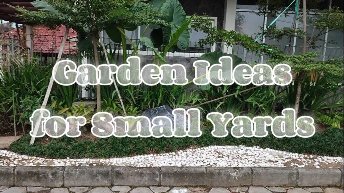 Small yard Landscaping Ideas || Garden in Front of the House Fence || garden Minimalist parking Small yard Landscaping Ideas || Garden in Front of the House Fence || garden Minimalist parking