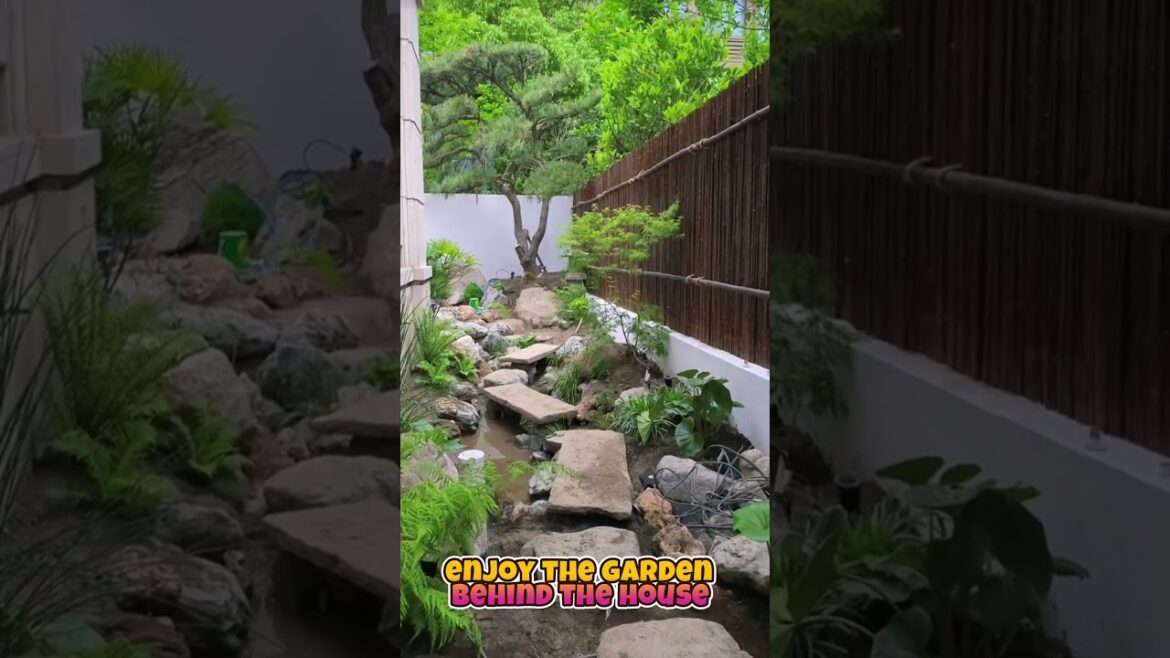 enjoy the garden behind the house