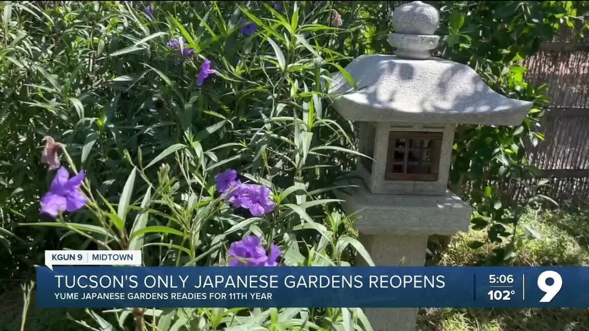 Peaceful, easy feeling: Yume Japanese Gardens to reopen Saturday