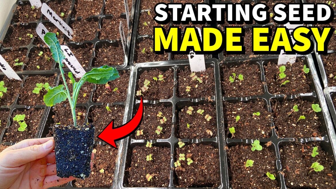 This Method Makes SEED STARTING For Beginners EASY!