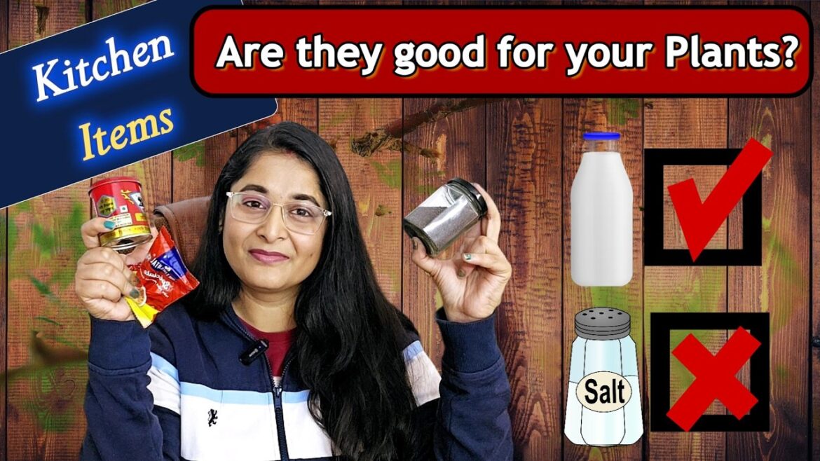 🔴11 KITCHEN Items To Use In GARDENING/ क्या ये kitchen के items वाकई gardening में काम करते है? 🔴11 KITCHEN Items To Use In GARDENING/ क्या ये kitchen के items वाकई gardening में काम करते है?