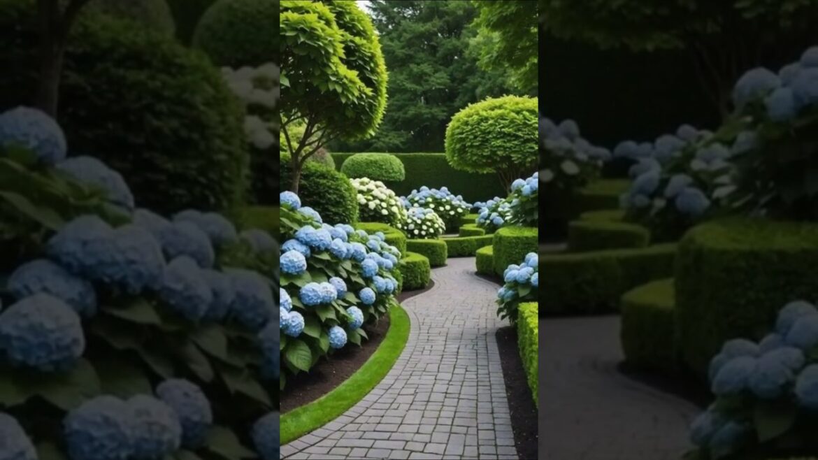 Transform Your Yard: Stunning Landscaping Ideas to Make Your Outdoors Pop! Transform Your Yard: Stunning Landscaping Ideas to Make Your Outdoors Pop!