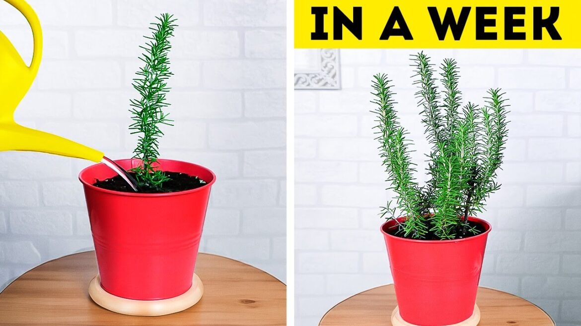 DIY Gardening Hacks and Tips to Maximize Space. Create Ultimate Indoor Oasis DIY Gardening Hacks and Tips to Maximize Space. Create Ultimate Indoor Oasis