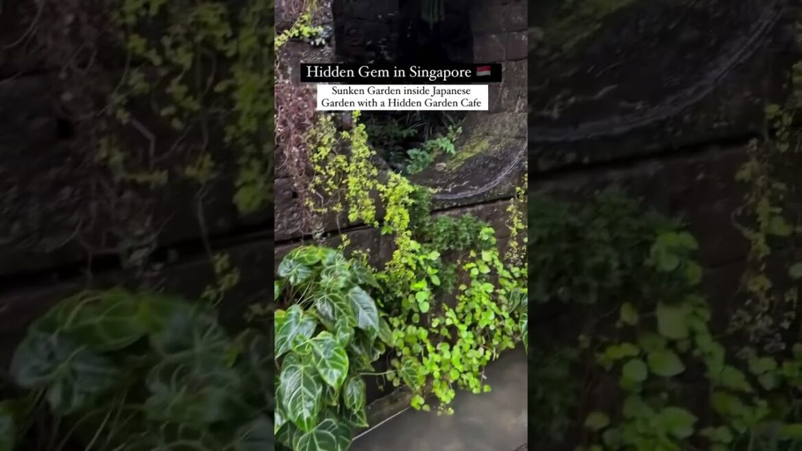 The mesmerising SUNKEN GARDEN inside Japanese Garden #short #shorts #shortsvideo #japanese