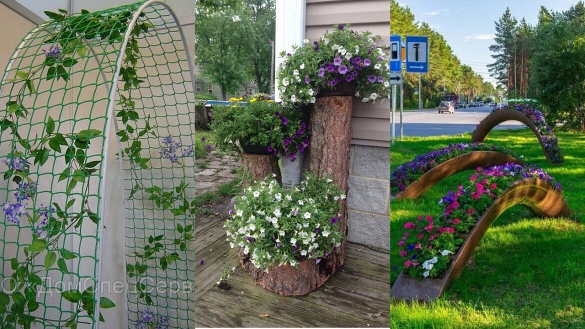 garden design,small garden,garden ideas,garden,small garden design,garden design ideas,small garden