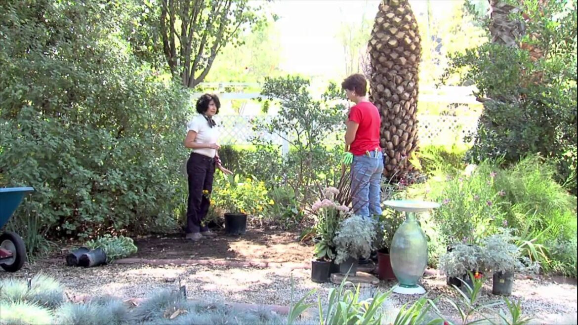Gardening with Lucy - Landscape Design