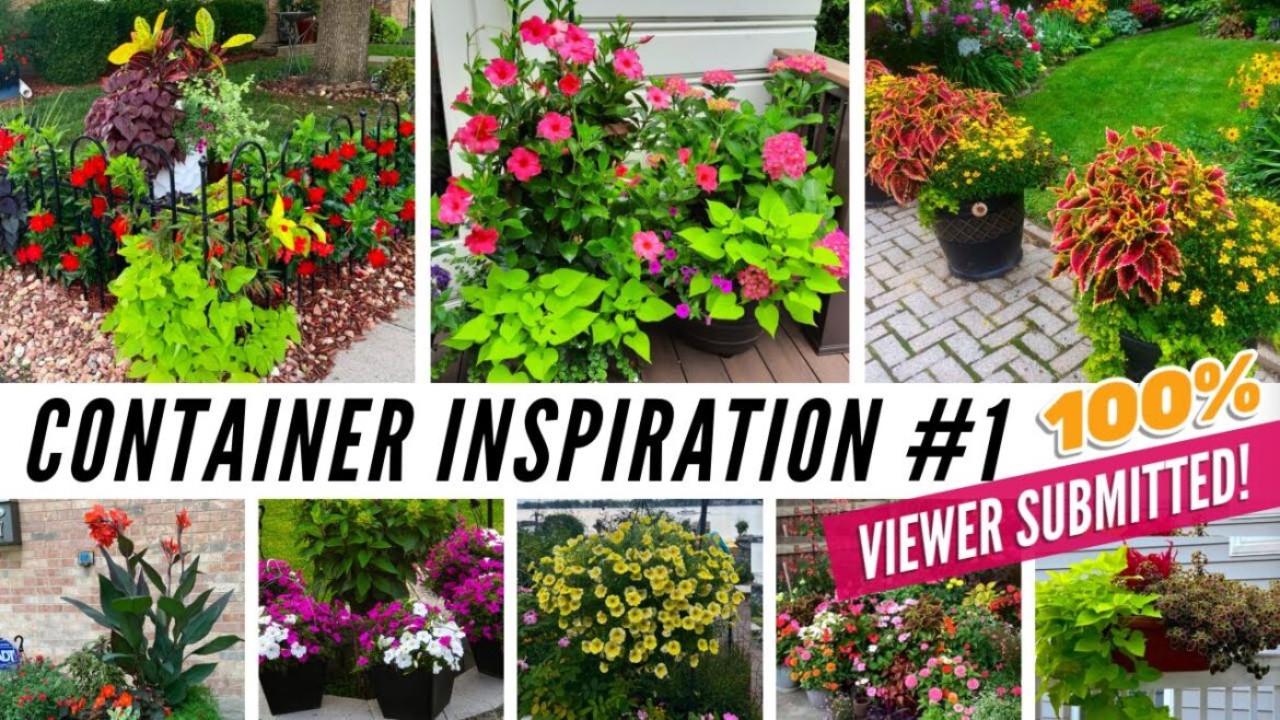 Your Best Container Garden Ideas! I'm INSPIRED by YOU