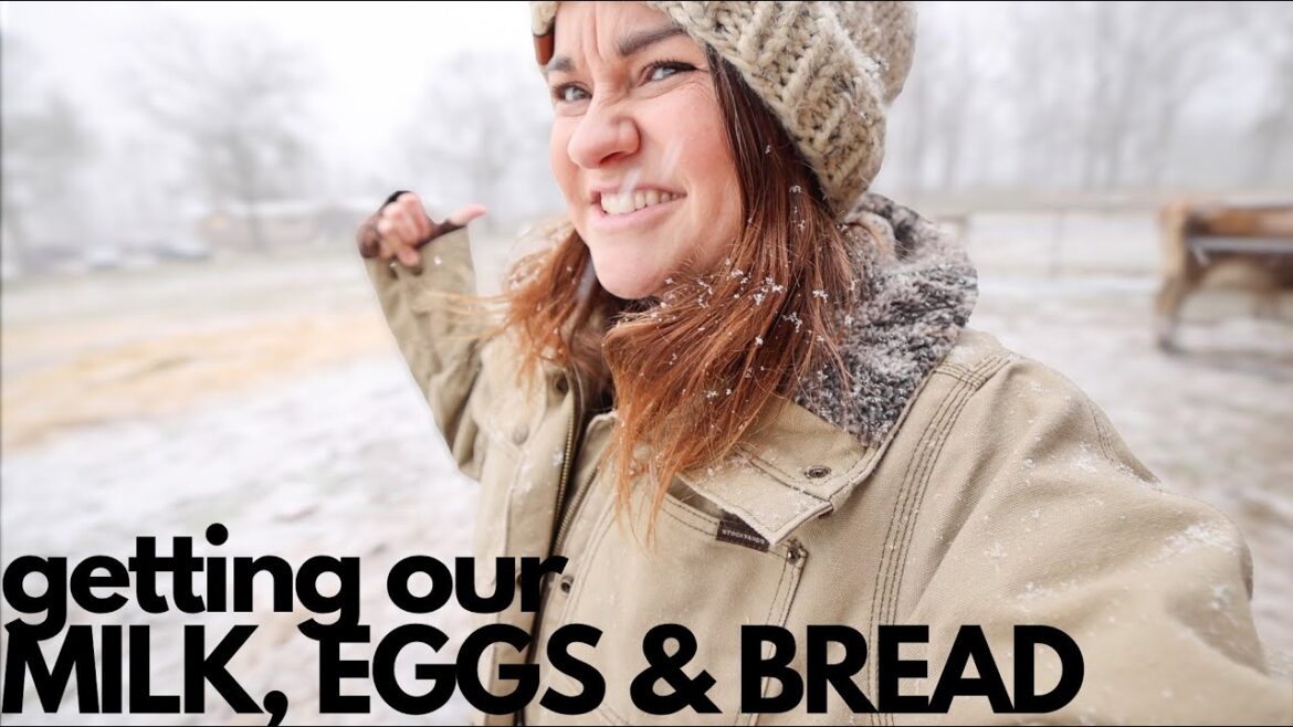 Milk, Eggs & Bread - Homestead Style (SC Winter Storm) | VLOG