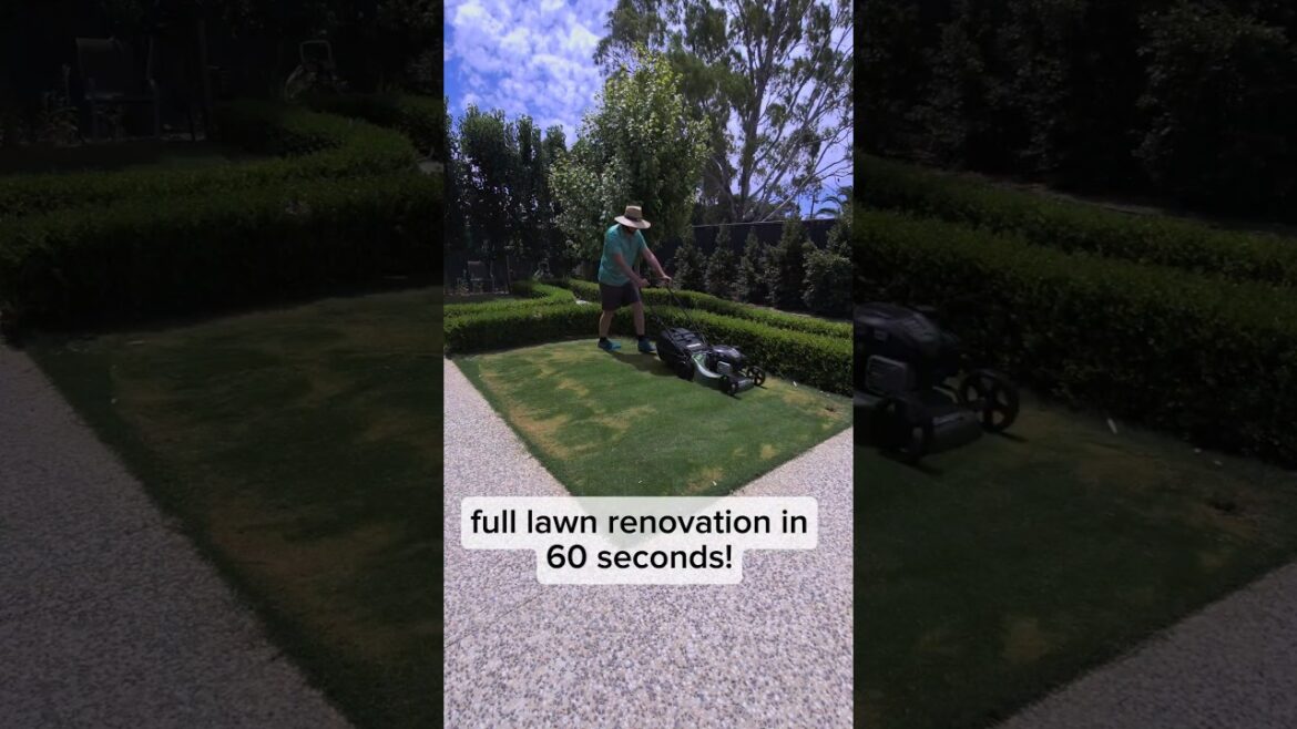 Full lawn renovation in under 60 seconds!