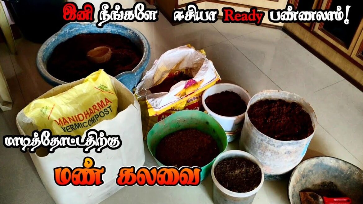 💥 மாடி தோட்டத்திற்கு சிறந்த மண் கலவை செய்வது எப்படி ⁉️ | Best Soil mix for Terrace Garden
