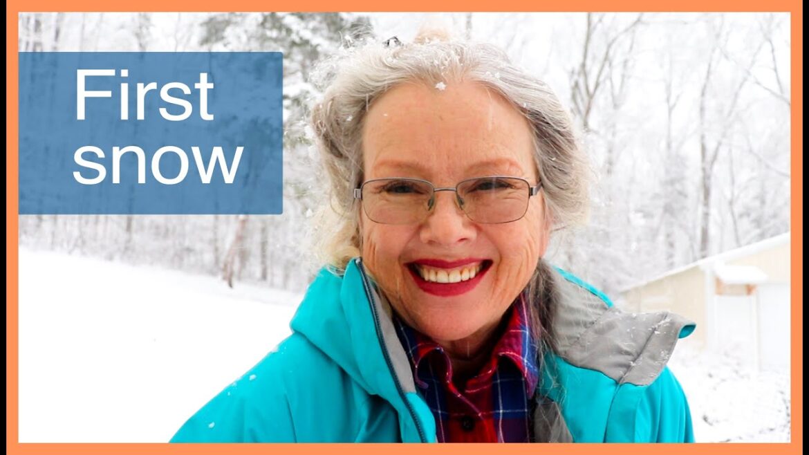 Kaye Kittrell: Bird Encounter on Walk in Snow Bird Encounter on Walk in Snow